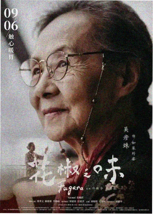 纸鸢之城 韩国奇幻动画封面